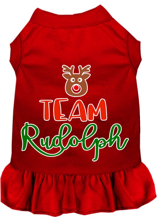 Team Rudolph Screen Print Dog Dress Red Med